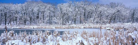 Framed Winter in Illinois Print