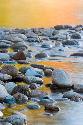 Framed Fall Reflections Among the Cobblestones in the Saco River, White Mountains, New Hampshire Print