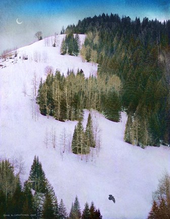 Framed Hillside With Snow Print