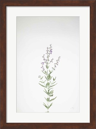 Framed Simple Stems III Print