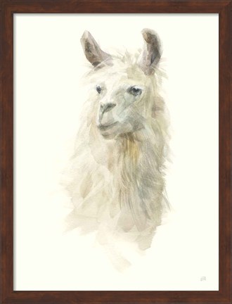 Framed Classic Llamas II Print