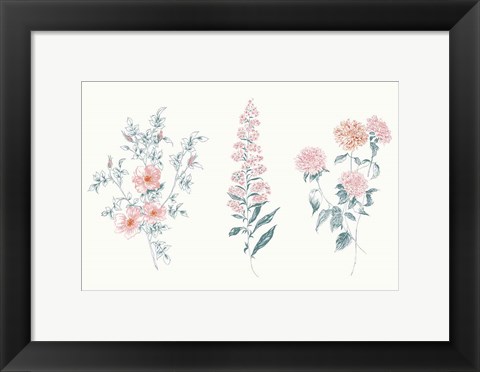 Framed Flowers on White IX Contemporary Bright Print