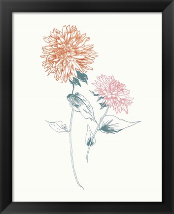 Framed Flowers on White IV Contemporary Bright Print