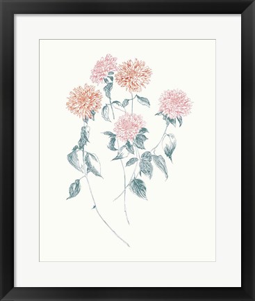 Framed Flowers on White VI Contemporary Bright Print