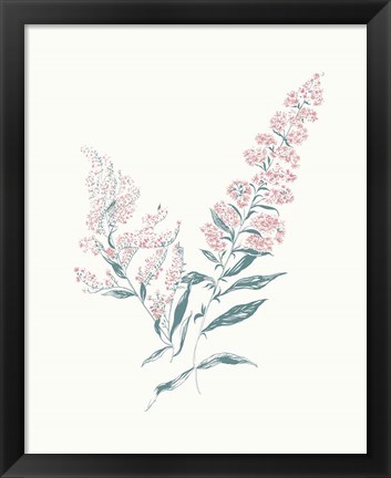 Framed Flowers on White I Contemporary Bright Print