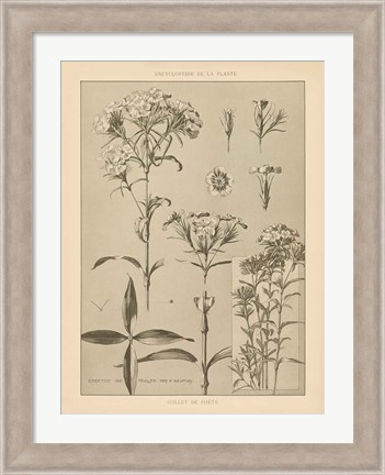 Framed Lithograph Florals III Print