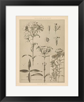 Framed Lithograph Florals III Print