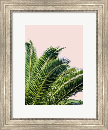 Framed Tropical Leaves on Blush I Print