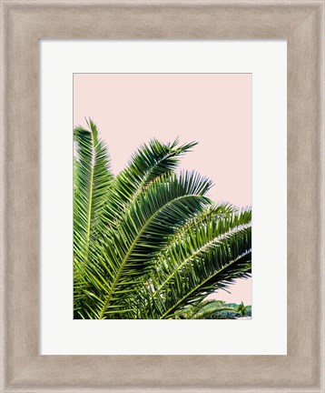 Framed Tropical Leaves on Blush I Print