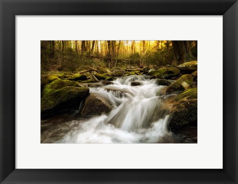 Framed Roaring Fork Print