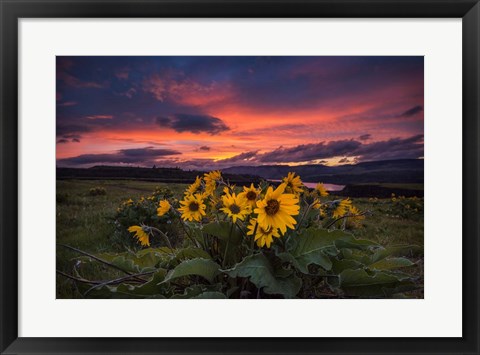 Framed Sunset at the Gorge Print