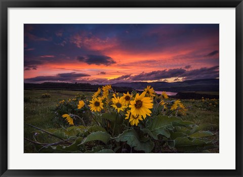 Framed Sunset at the Gorge Print