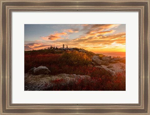 Framed Sunrise in Fall II Print