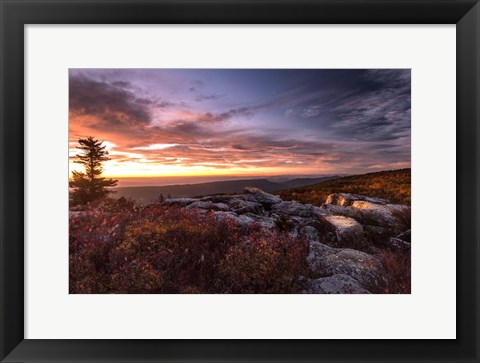 Framed Sunrise in Fall III Print