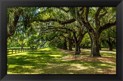 Framed Boone Hall Print