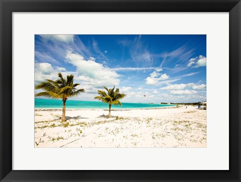 Framed Palms and Kites Print