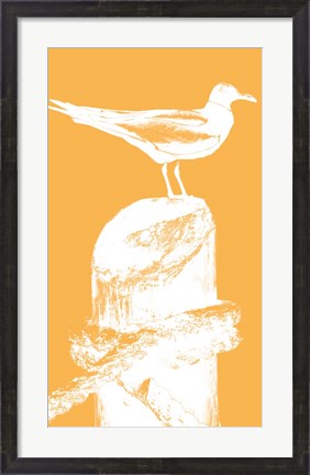 Framed Perching Seabird III Print