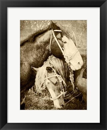 Framed Vintage Horses Print