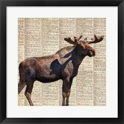 Framed Country Moose II Print