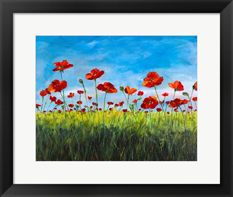 Framed Wild Poppies Print