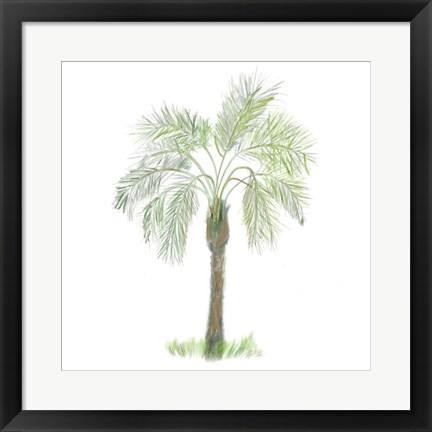 Framed Palm Tree on White II Print