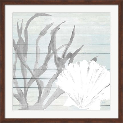 Framed Seashell on Blue Wood Print