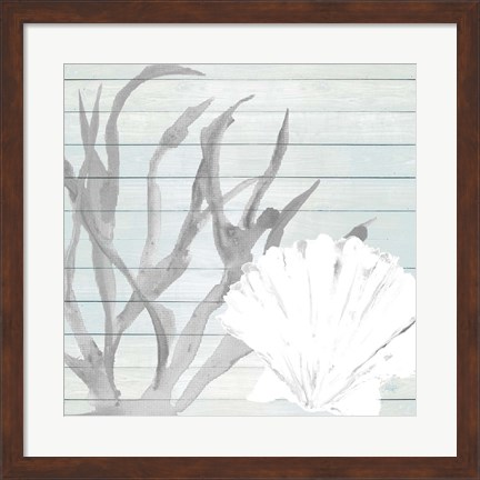 Framed Seashell on Blue Wood Print