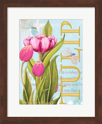 Framed Elegant Tulip II Print