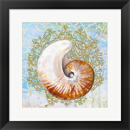 Framed Shell Medley III Print