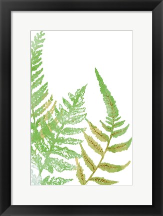 Framed Tossed Ferns I Print