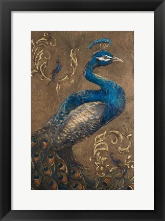 Framed Pershing Peacock I Print