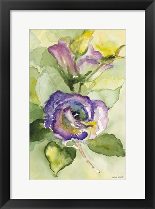 Framed Watercolor Lavender Floral II Print