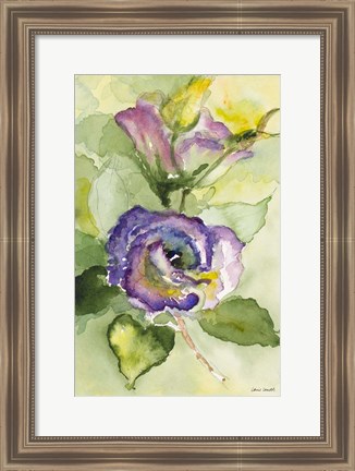 Framed Watercolor Lavender Floral II Print