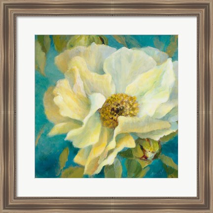 Framed Senorita Peony and Buds Print