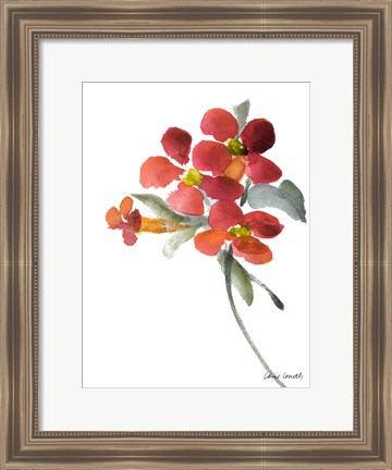 Framed Trumpet Vine Print