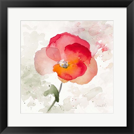 Framed Translucent Poppy I Print