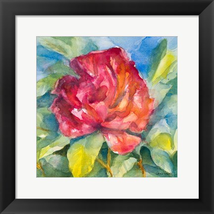 Framed Crimson Peony Print