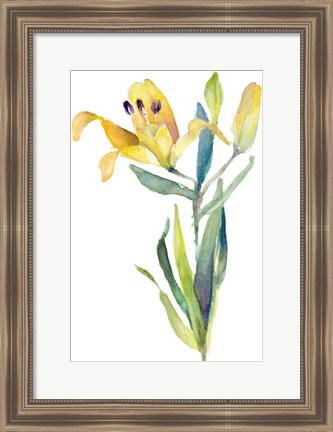 Framed Yellow Lily Print