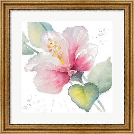 Framed Fragrant Hibiscus II Print