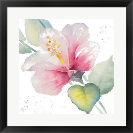 Framed Fragrant Hibiscus II Print