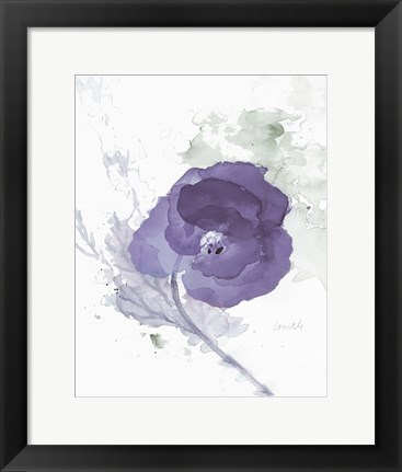 Framed Translucent Mauve Poppy II Print