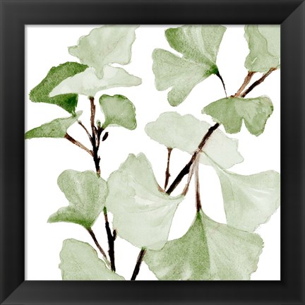 Framed Mint Ginko Stems I Print