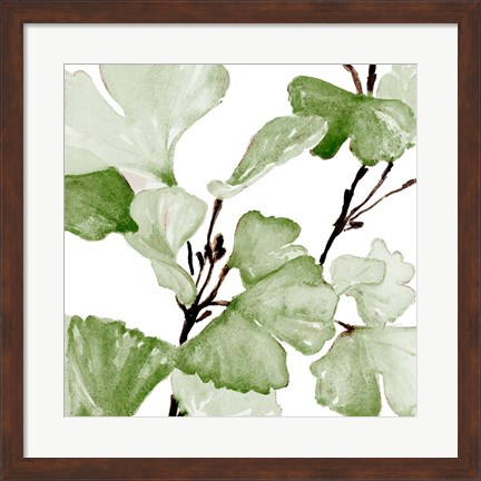 Framed Mint Ginko Stems II Print