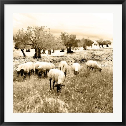 Framed Out In The Fields Print