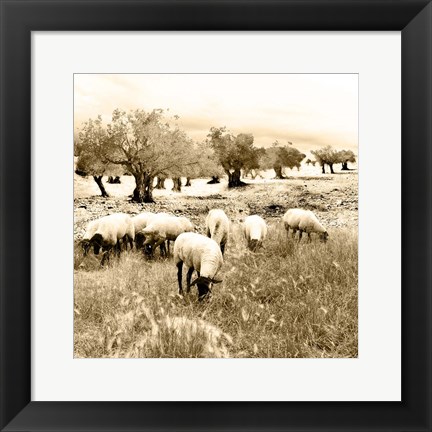 Framed Out In The Fields Print