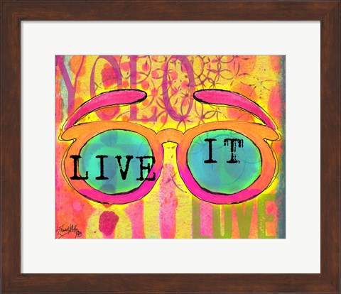 Framed Sunglasses II Print