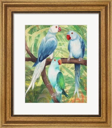 Framed Tropical Birds I Print