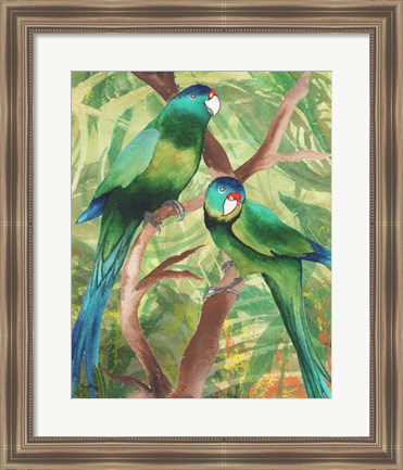 Framed Tropical Birds II Print