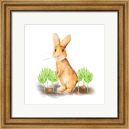 Framed Spring Bunny IV Print