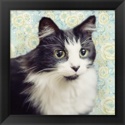 Framed Cat on Paisley Print